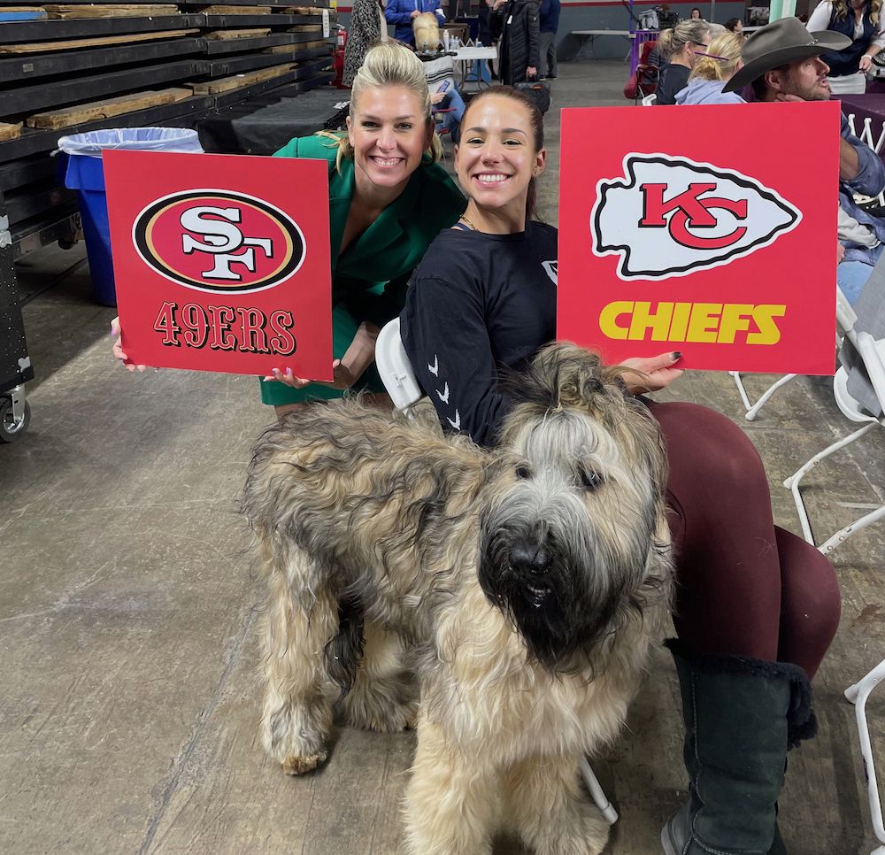 2024 Super Bowl Picks